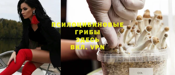 первитин Касимов