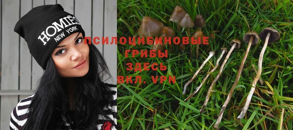 шишки Киреевск
