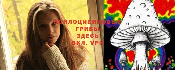 шишки Киреевск