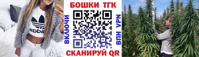 Купить закладки  Ступино  Канабис семена 